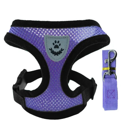 Pet Harness