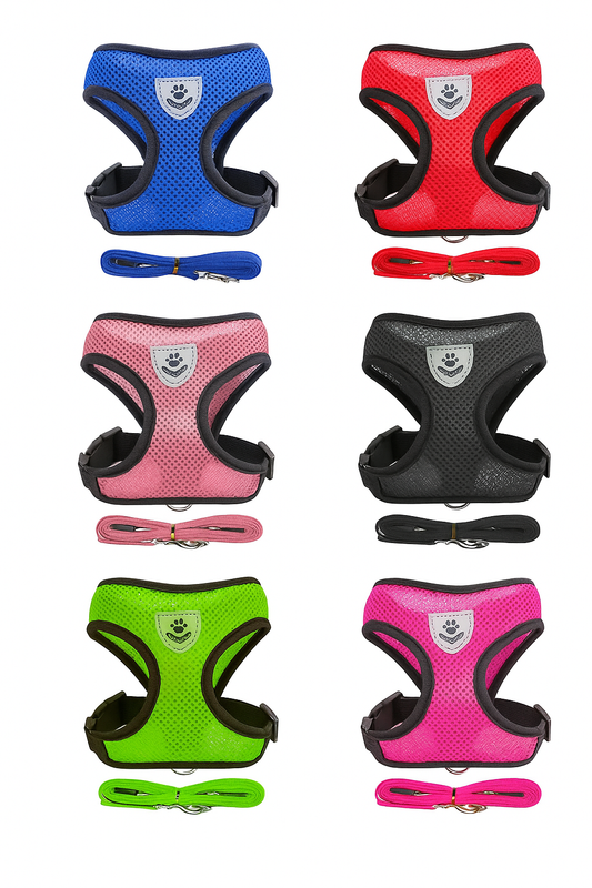 Pet Harness
